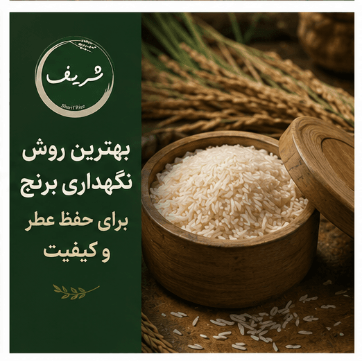 بهترین روش نگه داری برنج