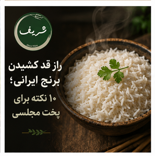 راز قد کشیدن برنج ایرانی