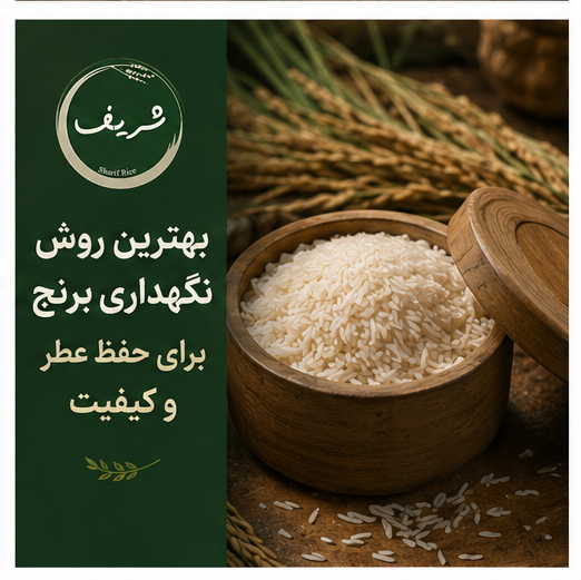 بهترین روش نگه داری برنج