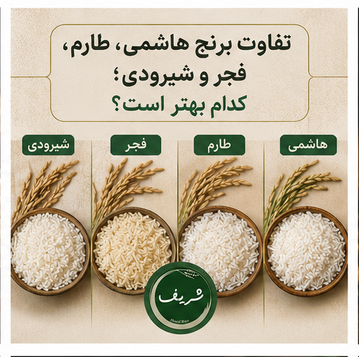 تفاوت برنج هاشمی طارم فجر و شیرودی
